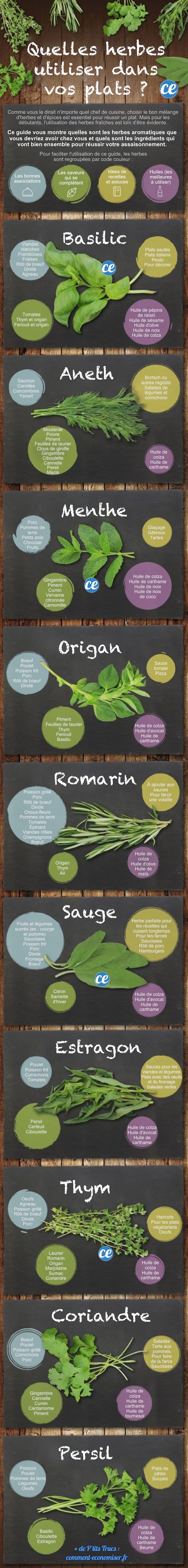 Which aromatic herbs to use in your dishes? The Guide to Never Be Wrong Again. 