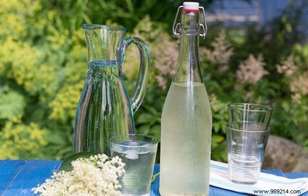 The Elderflower Champagne Recipe (Easy To Make And 100% Natural). 