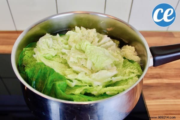 Easy And Fast:The Delicious Recipe for GYOZAS, the Famous Japanese Dumplings. 