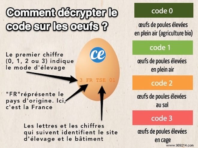 How To Crack The Code Printed On The Eggs EASILY. 