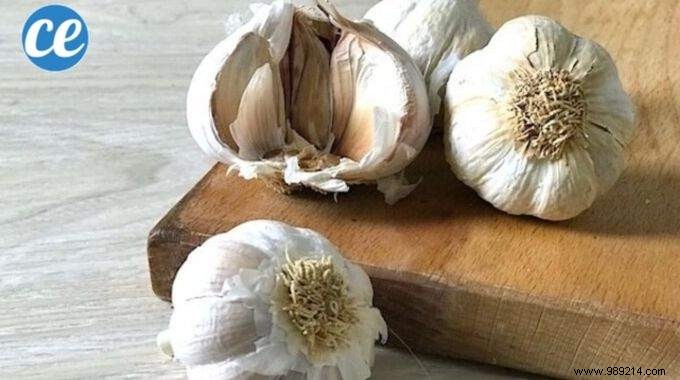 How to choose the right garlic? The Infallible Tip To Not Go Wrong. 