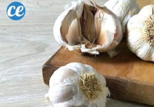 How to choose the right garlic? The Infallible Tip To Not Go Wrong. 