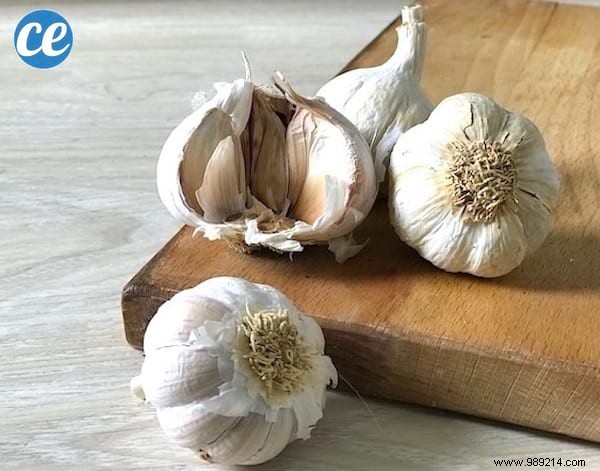 How to choose the right garlic? The Infallible Tip To Not Go Wrong. 