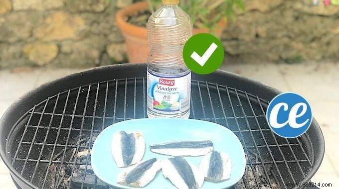 Finally, a tip to prevent fish from sticking to the barbecue. 