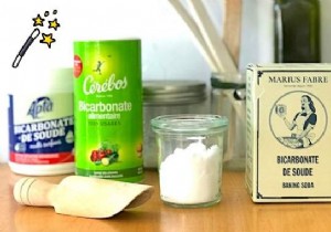 Bicarbonate:A Pinch of Magic in the Kitchen. 