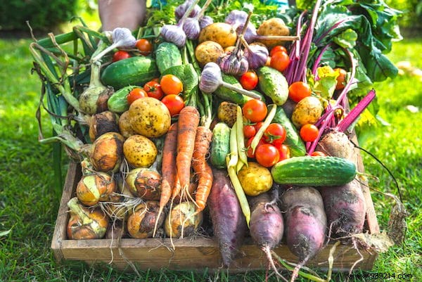 How To Store Fruits &Vegetables For Months WITHOUT A FRIDGE! 