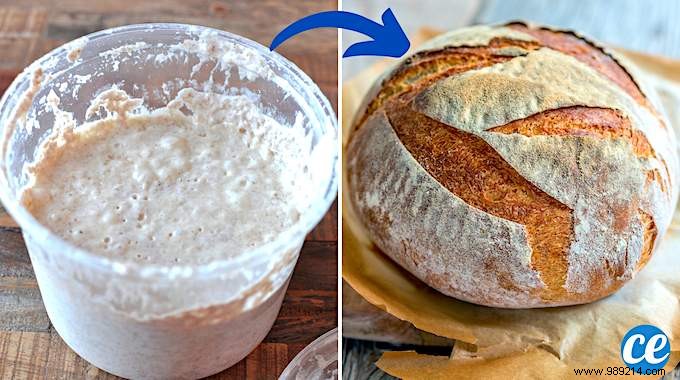 How to Make Homemade Baker s Yeast? Here are 3 Easy Recipes. 