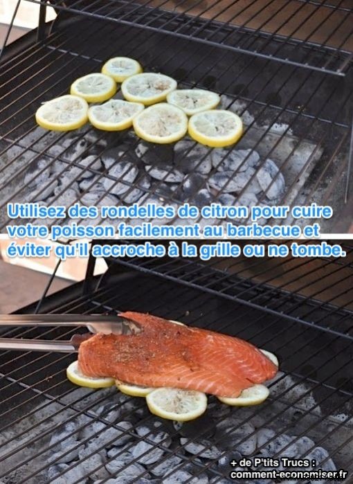 The Best Tip for Cooking Grilled Fish on the Barbecue. 