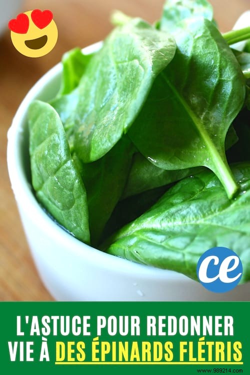 The Magic Trick To Bring Wilted Spinach Back To Life In 1 Min. 