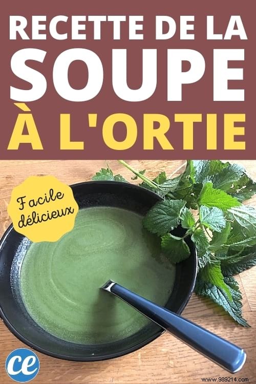 Old Fashioned Nettle Soup:My Easy Recipe That Costs Nothing! 