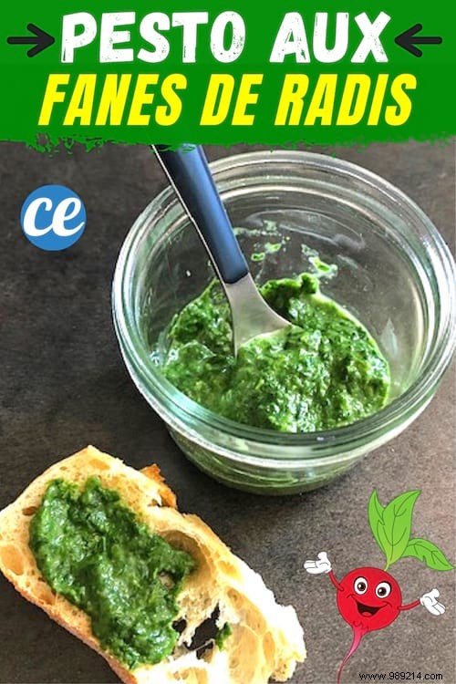 How to Cook Radish Tops? Make This Delicious Homemade Pesto. 