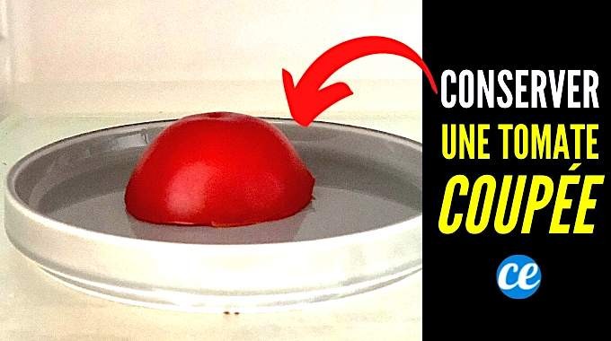 How to Store a Cut Tomato? THE Anti-Waste Tip You Should Know. 