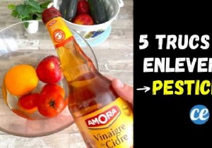 5 Tips To Eliminate A Maximum Of Pesticides On Our Fruits &Vegetables. 