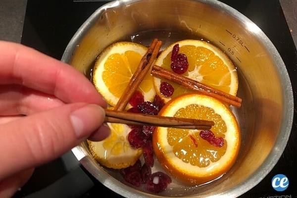 How to Make a Christmas Pot-Pourri in 2 Min (And Perfume Your Whole House). 