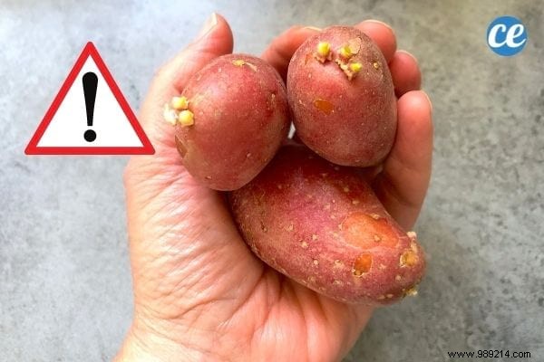 Cooking Potatoes:10 Mistakes We All Make Absolutely Avoid. 