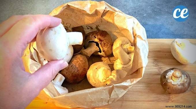 Mushrooms:6 Anti-Waste Tips To Keep Them Longer. 