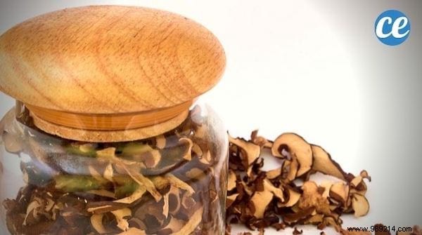 Mushrooms:6 Anti-Waste Tips To Keep Them Longer. 