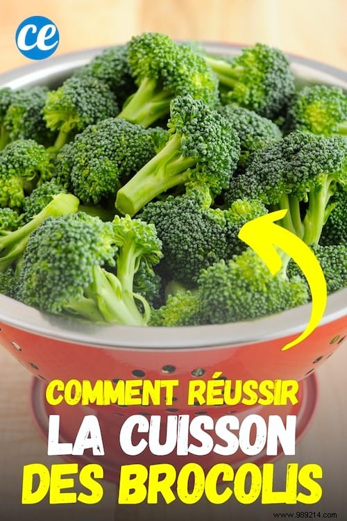 How to Cook Broccoli Successfully? 5 Easy Methods. 