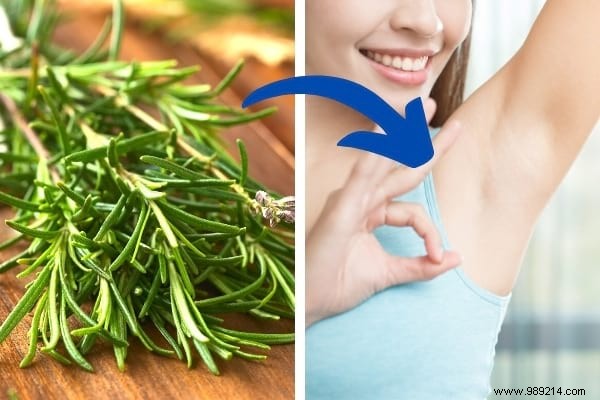 18 Amazing Uses of Rosemary (Revealed By My Naturopath). 