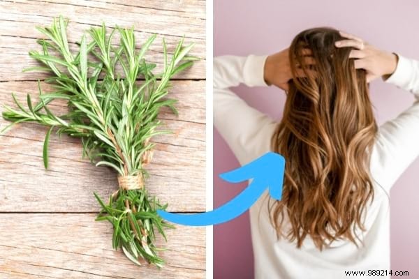 18 Amazing Uses of Rosemary (Revealed By My Naturopath). 