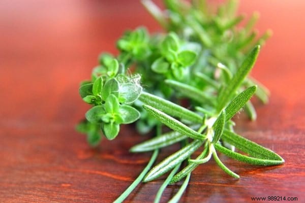 18 Amazing Uses of Rosemary (Revealed By My Naturopath). 