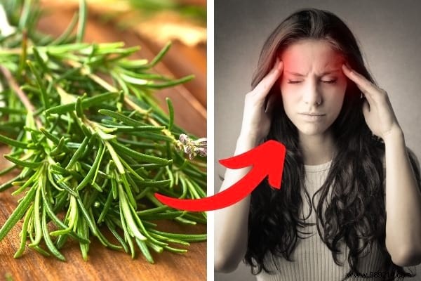 18 Amazing Uses of Rosemary (Revealed By My Naturopath). 