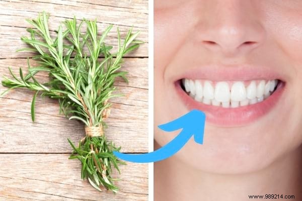 18 Amazing Uses of Rosemary (Revealed By My Naturopath). 