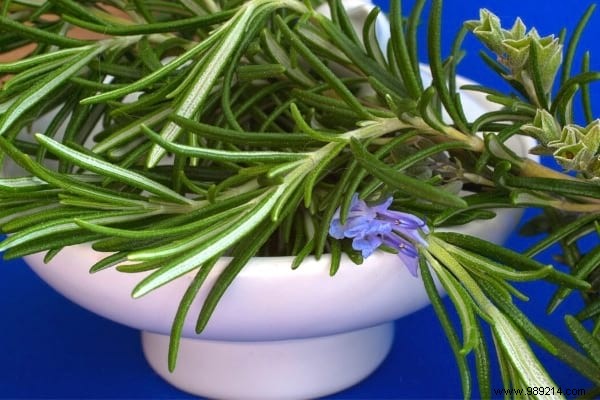 18 Amazing Uses of Rosemary (Revealed By My Naturopath). 