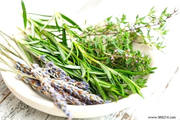 18 Amazing Uses of Rosemary (Revealed By My Naturopath). 