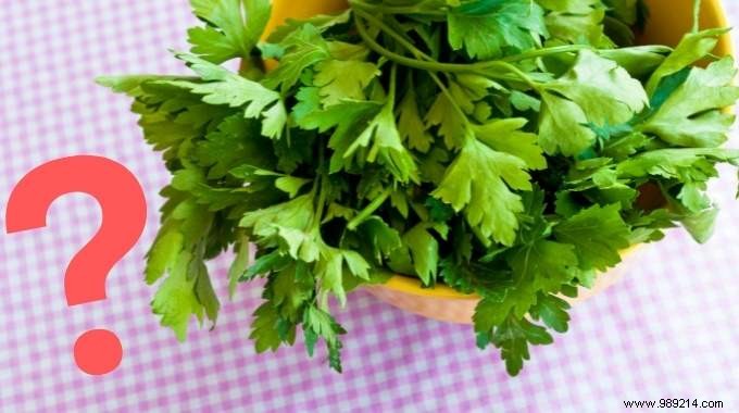 What to replace cilantro with? 6 Alternatives to This Aromatic Herb. 