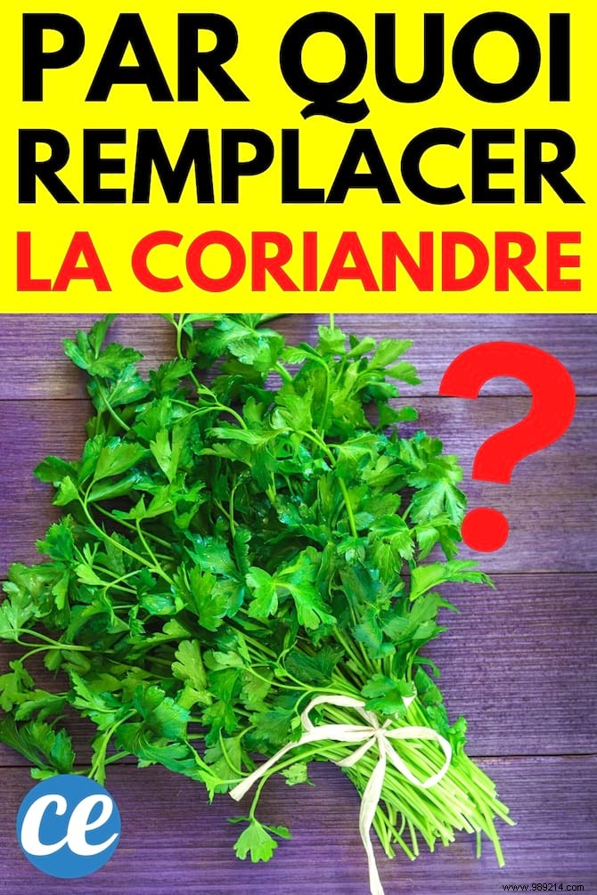 What to replace cilantro with? 6 Alternatives to This Aromatic Herb. 