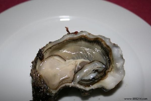 Health Benefits of Oysters:Why Are Britons Fans? 