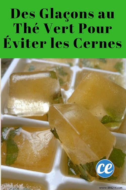 Green Tea Ice Cubes To Avoid Dark Circles. 