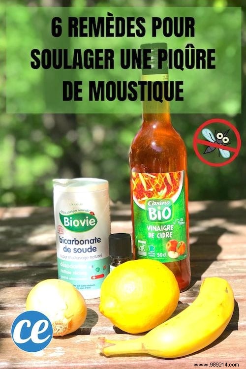 The 6 Natural Remedies To Treat A Mosquito Bite. 