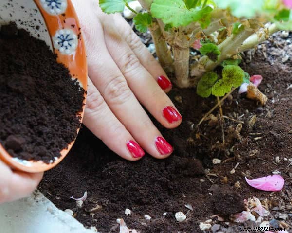 18 Surprising Uses of Coffee Grounds You Knew. 