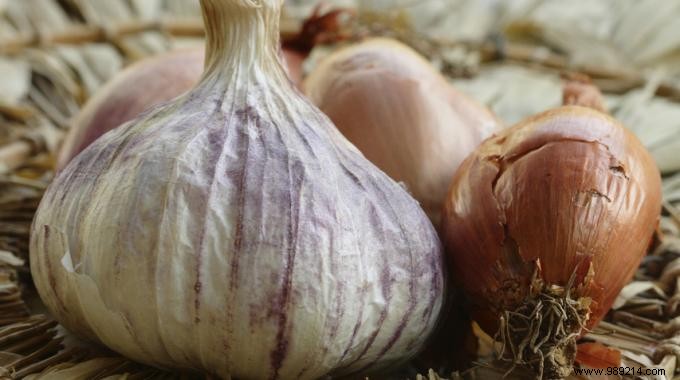 The Health Benefits of Garlic, an Unrecognized Natural Remedy. 