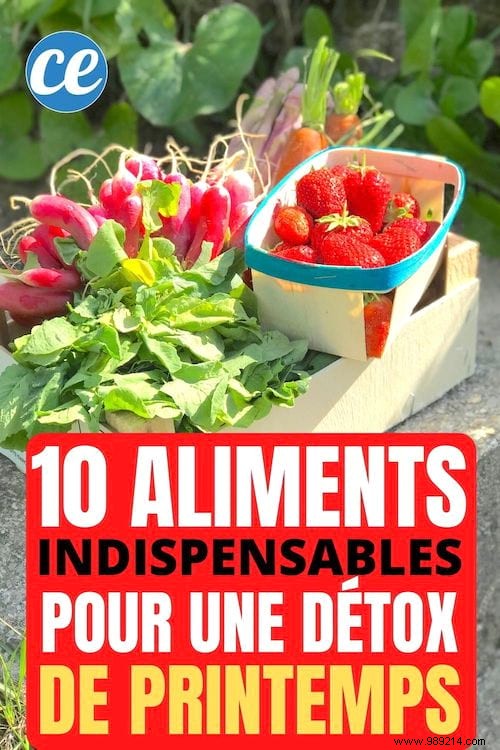 10 Essential Foods For An Effective Spring Detox! 