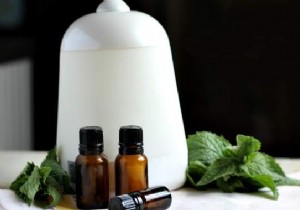 20 Essential Oil Diffuser Recipes You ll LOVE. 