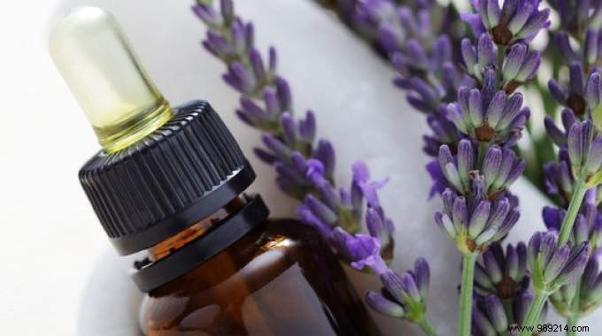 21 Lavender Essential Oil Uses Everyone Should Know. 