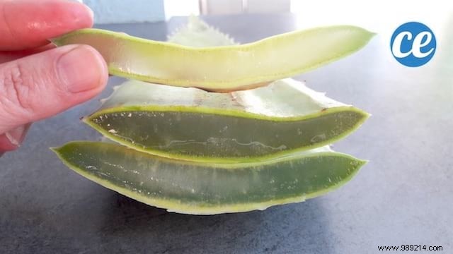 No more after-sun needs! Use Aloe Vera To Hydrate And Soothe Your Skin. 