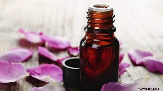 Lavender Essential Oil:14 Uses Everyone Should Know. 