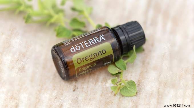 Essential Oil of Oregano:20 Benefits &Uses to Know Absolutely. 