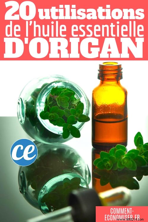 Essential Oil of Oregano:20 Benefits &Uses to Know Absolutely. 