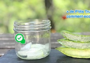 How To Extract Aloe Vera Gel From A Fresh Plant (Quick And Easy). 