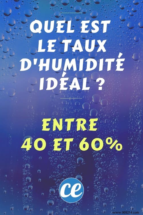 What Is The Ideal Home Humidity Level? 