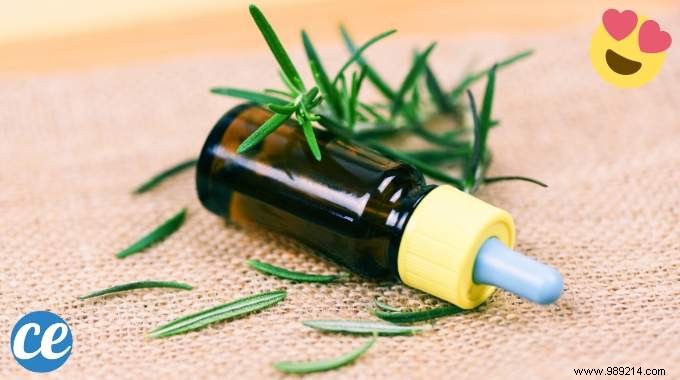 Rosemary Essential Oil:12 Scientifically Proven Benefits. 