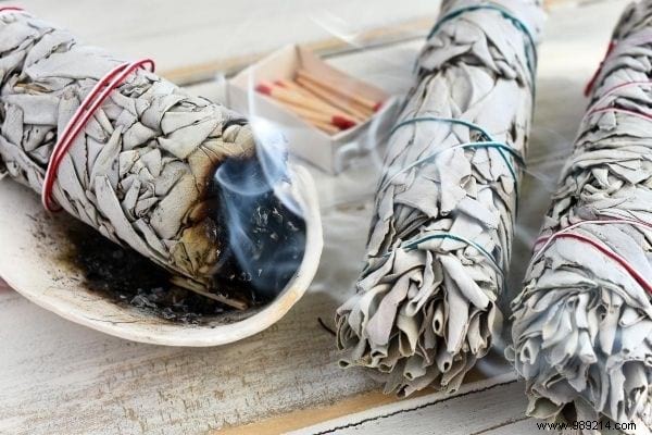 Burning Sage:11 Incredible Health Benefits. 