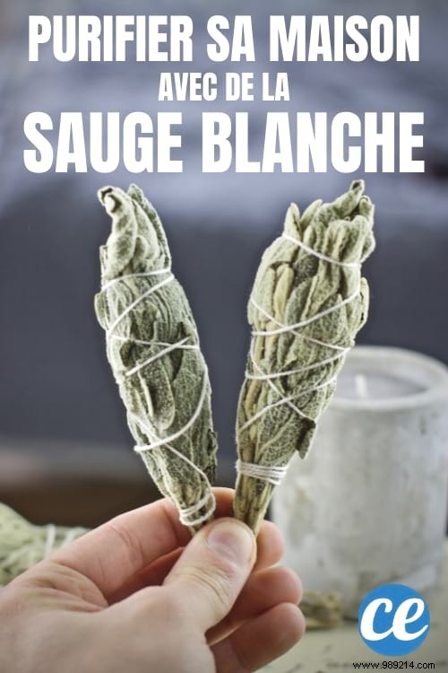 Burning Sage:11 Incredible Health Benefits. 