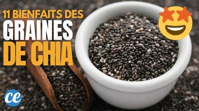 11 Incredible Scientifically Proven Benefits of CHIA SEEDS. 