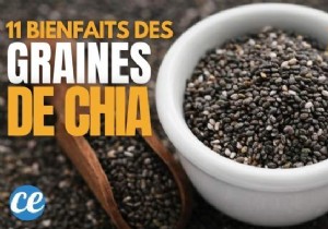 11 Incredible Scientifically Proven Benefits of CHIA SEEDS. 